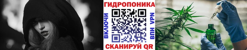 Бошки Шишки OG Kush Красный Холм